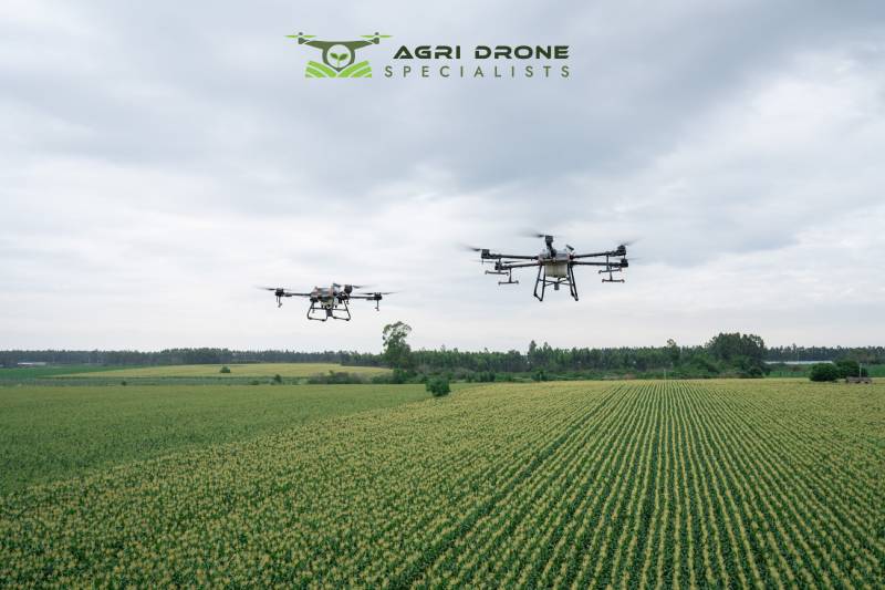 Agriculture Drone Services