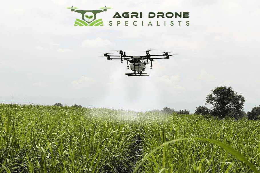 Drone Services: The Best Ally in Precision Farming!