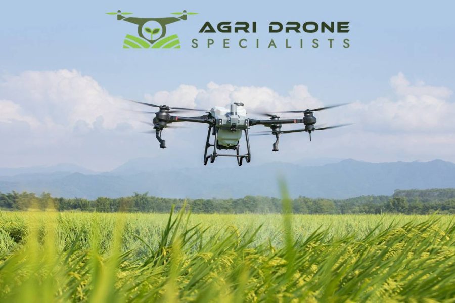 Crop Spraying Drone Services