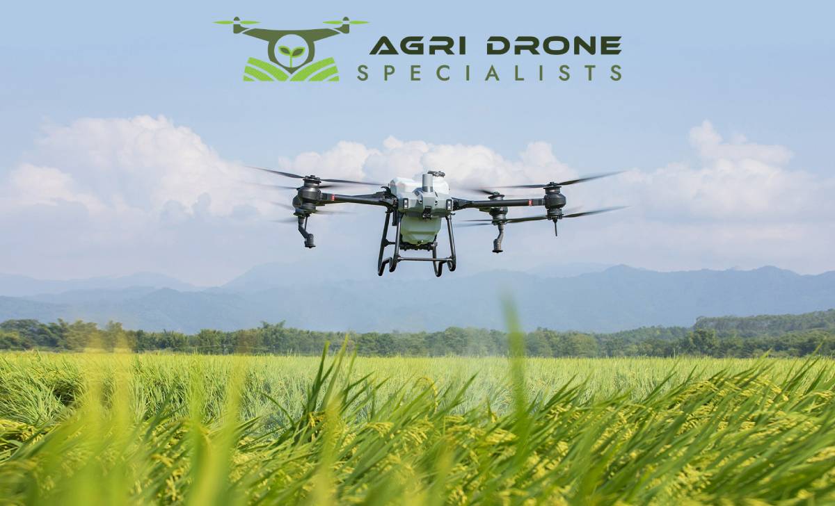 The Impact of Drone Technology on Pest Control in Agriculture in Nelson