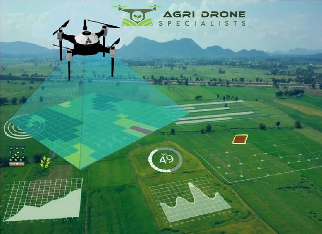 Transforming Surveying: The Rise of Drone Mapping Services in Nelson