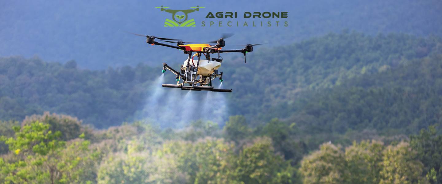 Revolutionizing Agriculture: The Role of Drone Services in Modern Farming