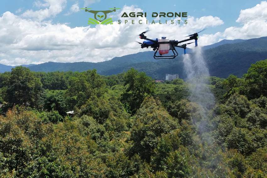 Forestry Spraying Drone Services