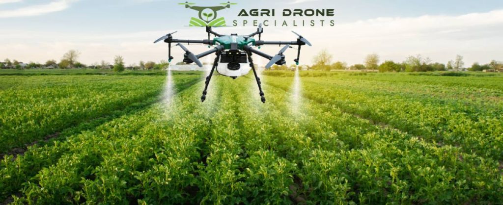 Weed Spraying Drone Services